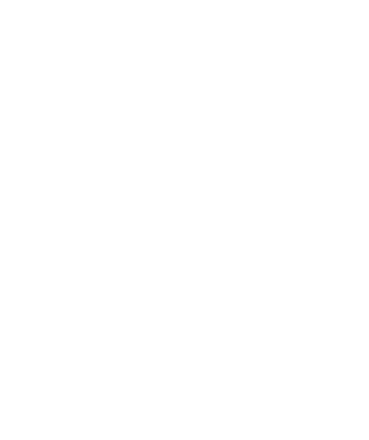CEICAA