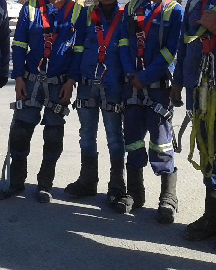 Brigadistas con arnés y equipo de protección formados en línea.