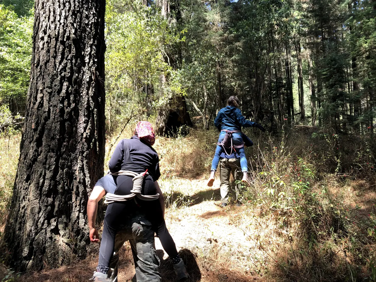 Dos parejas practican la carga a cuestas por un sendero entre pinos, de espaldas.