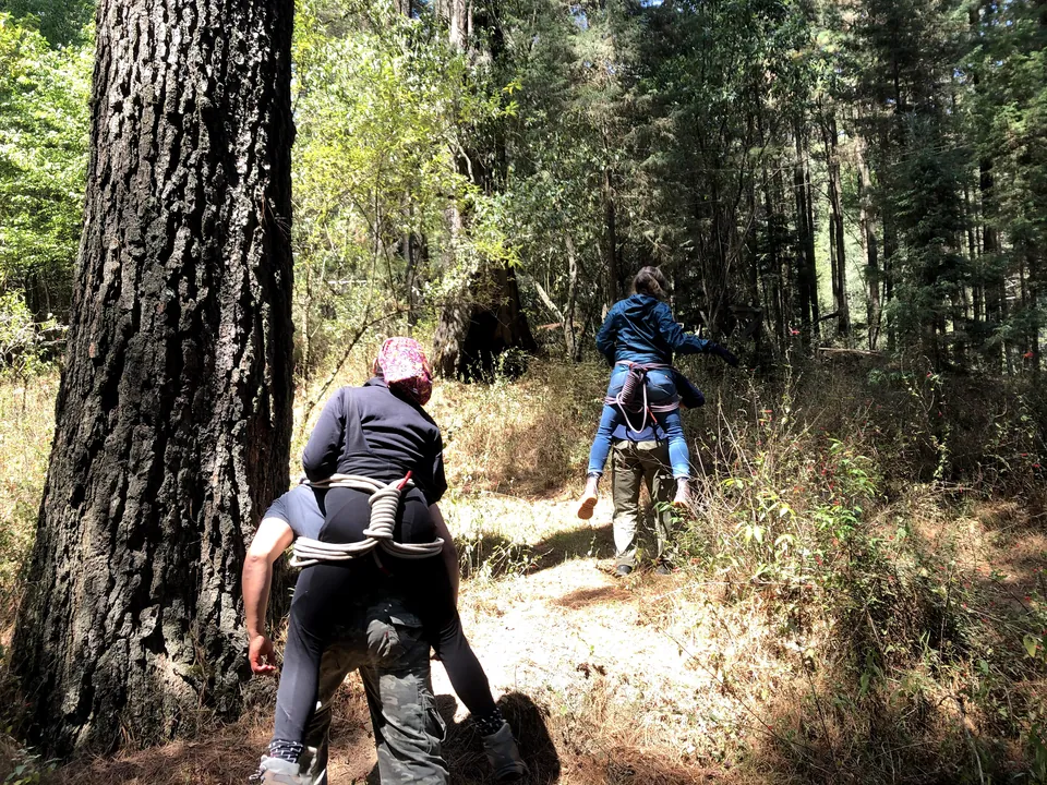 Dos parejas practican la carga a cuestas con cuerda por un sendero entre pinos, de espaldas.